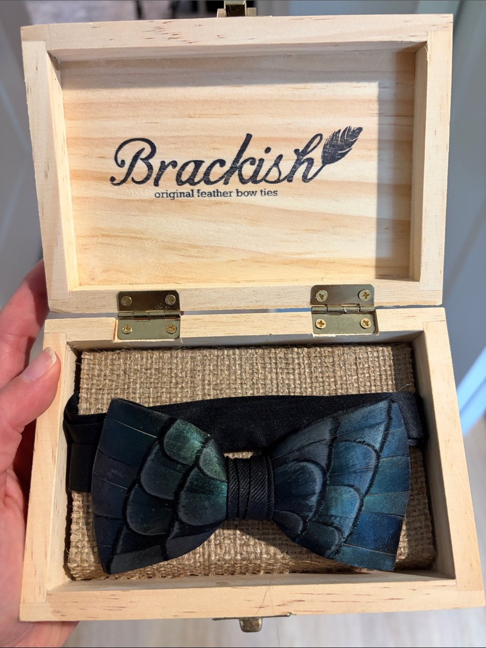 Brackish Men's Peacock Feather Bow Tie — Blue Green
